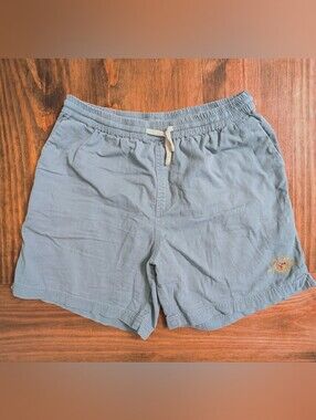 Urban Outfitters BDG Men's Light Blue Shorts with Drawstring